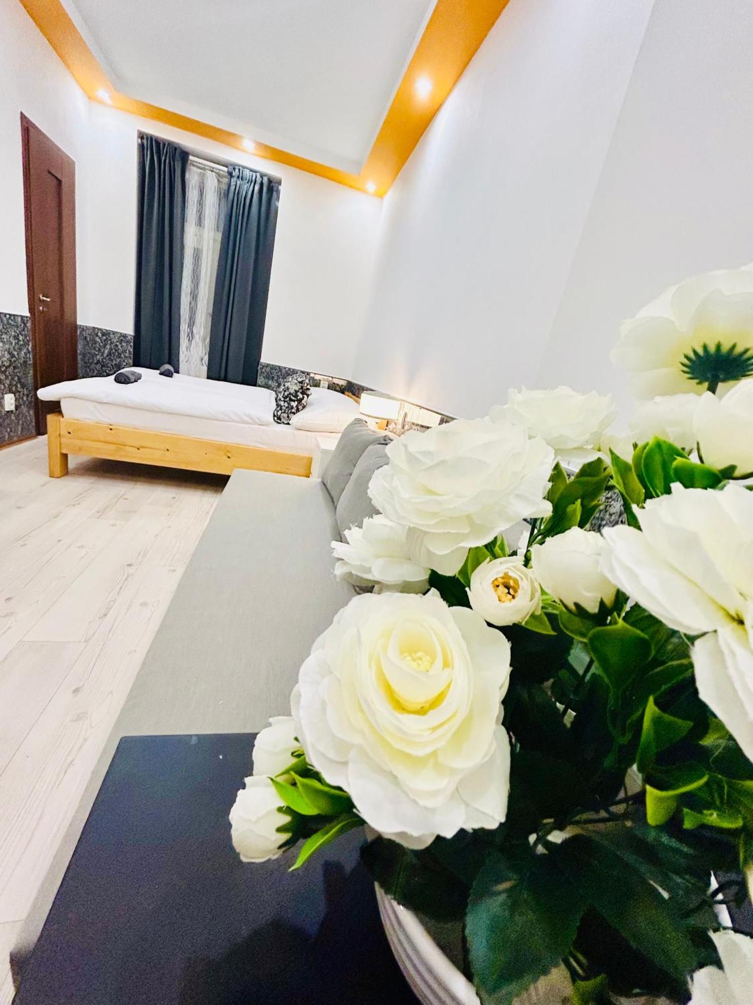 Modern Spacious Apartment In Center Praha Exteriér fotografie
